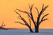 Krömer-Namibia-1399_CC